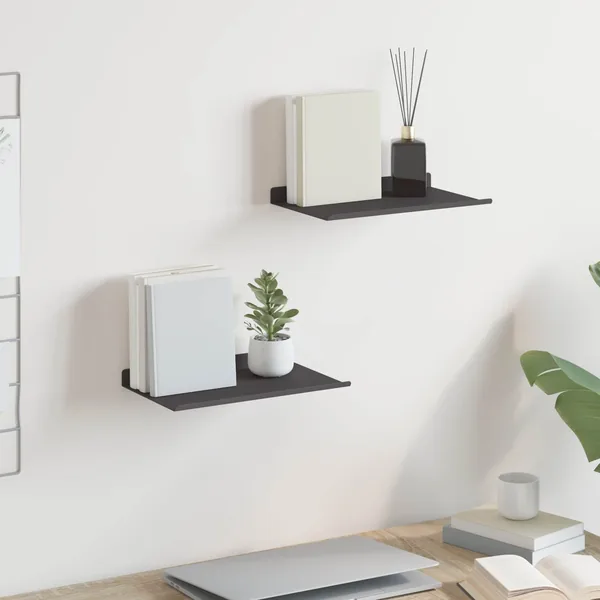 Étagère flottante 2 pcs Noir 30 x 17,5 x 2,5 cm Acier