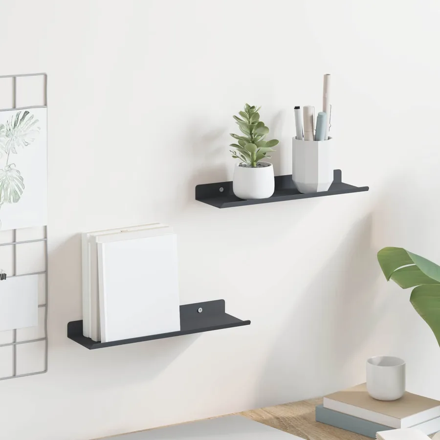 Étagère flottante 2 pcs Anthracite 30 x 9 x 2,5 cm Acier