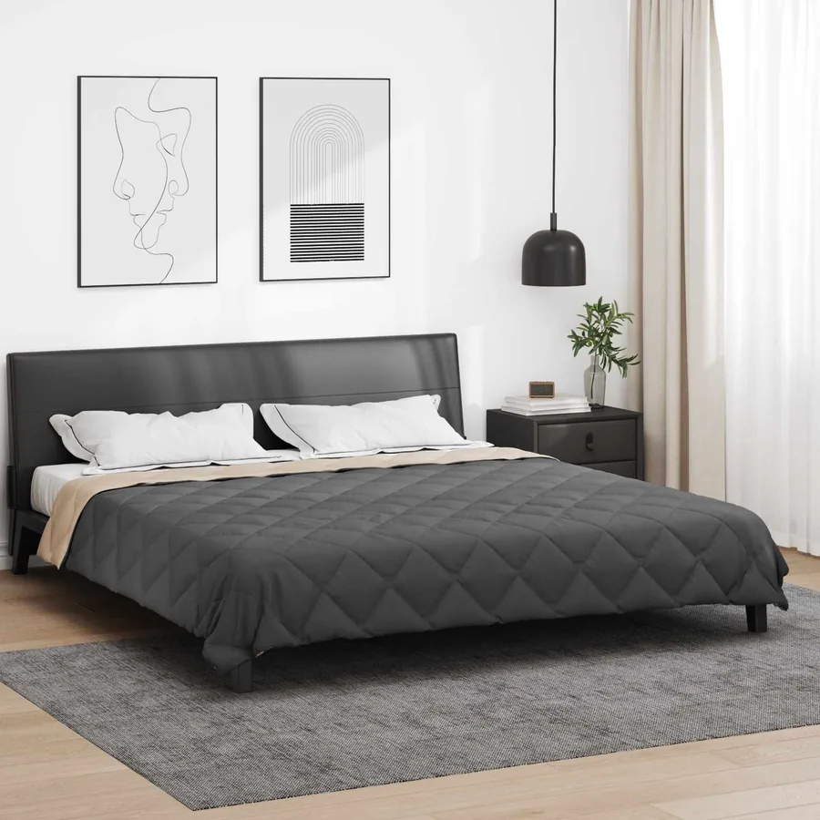 Duvet d'été simple Anthracite et Taupe 200 x 200 cm Microfibre