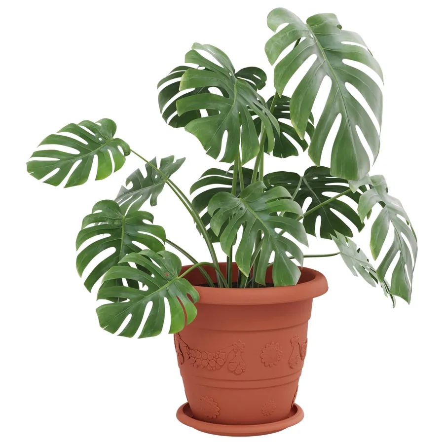 Pots de plantes 6 pcs Rouge brique Ø 26 x 21.5 cm Plastique - 3
