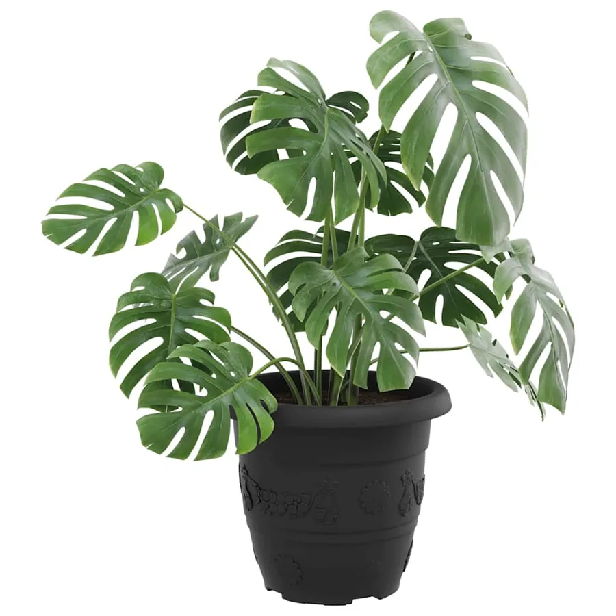 Pot à fleurs rond 6 pcs Noir Ø 30 x 25 cm Plastique - 3