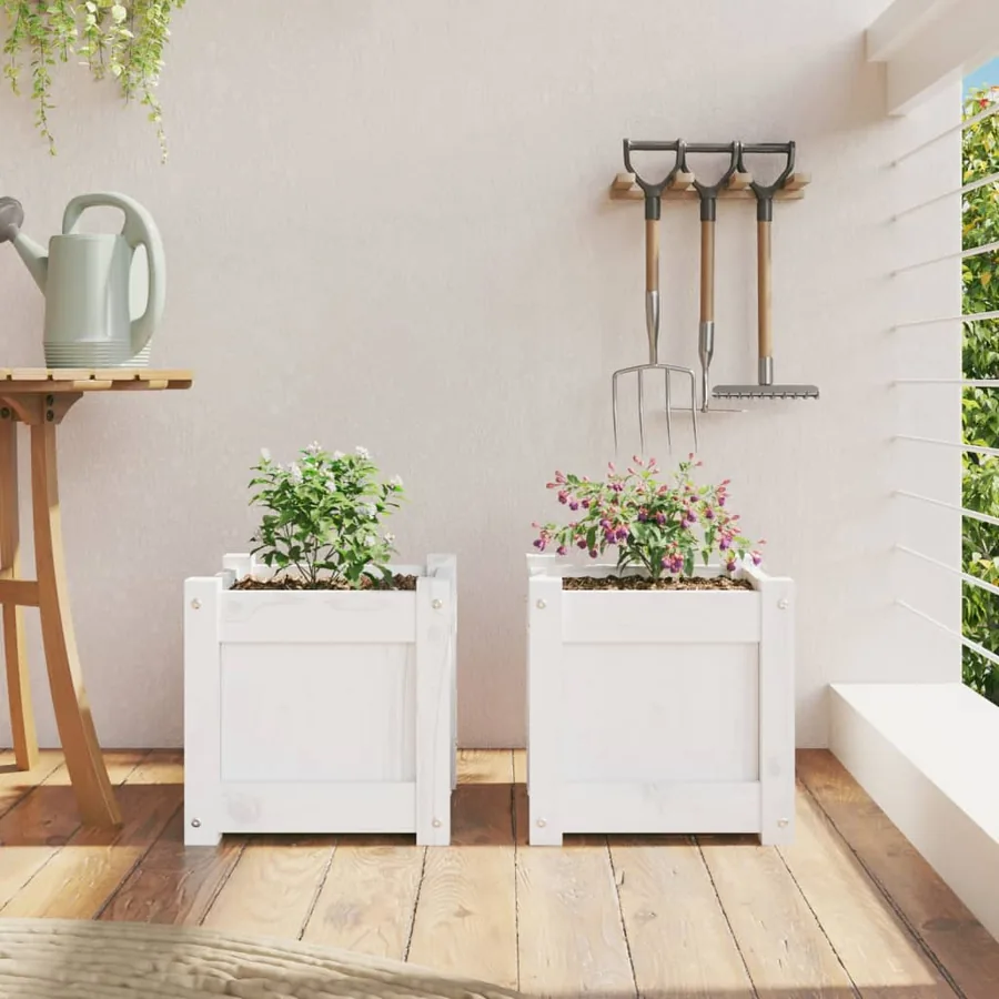 Jardinières 2 pcs blanc bois de pin massif - 3