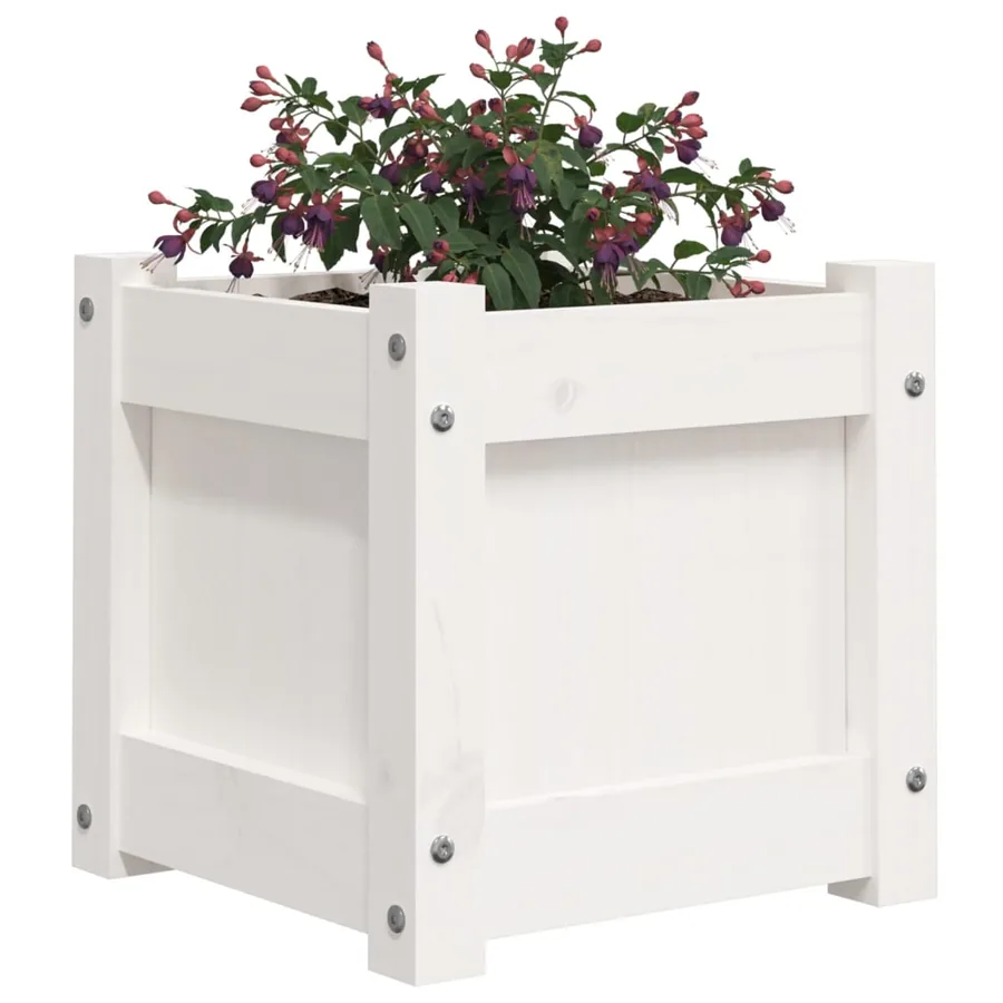 Jardinières 2 pcs blanc bois de pin massif - 4