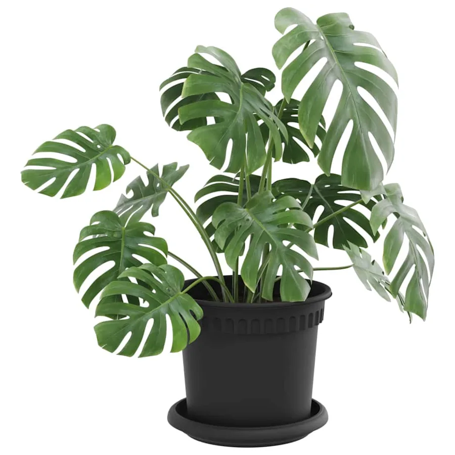 Pots de plantes 6 pcs Noir Ø 15 x 12 cm Plastique - 3