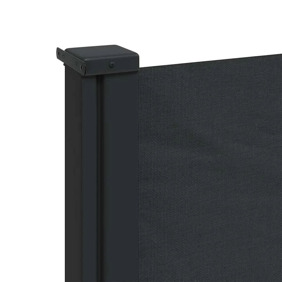 Auvent latéral rétractable noir 120x600 cm - 8