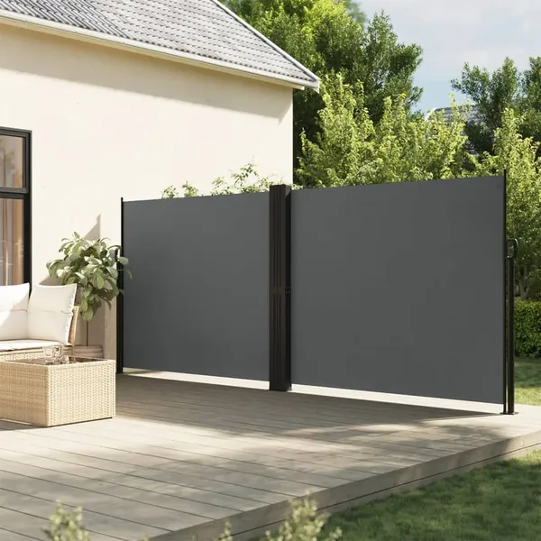 Auvent latéral rétractable anthracite 160x1000 cm