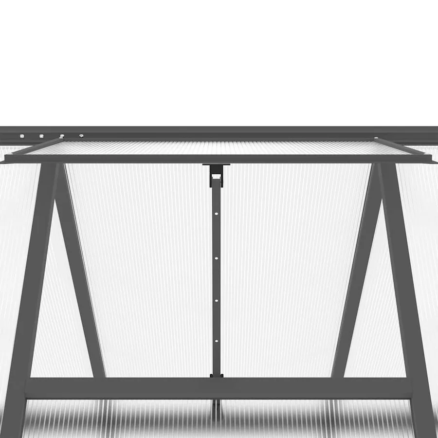 Serre avec cadre de base anthracite 169x169x202 cm aluminium - 9