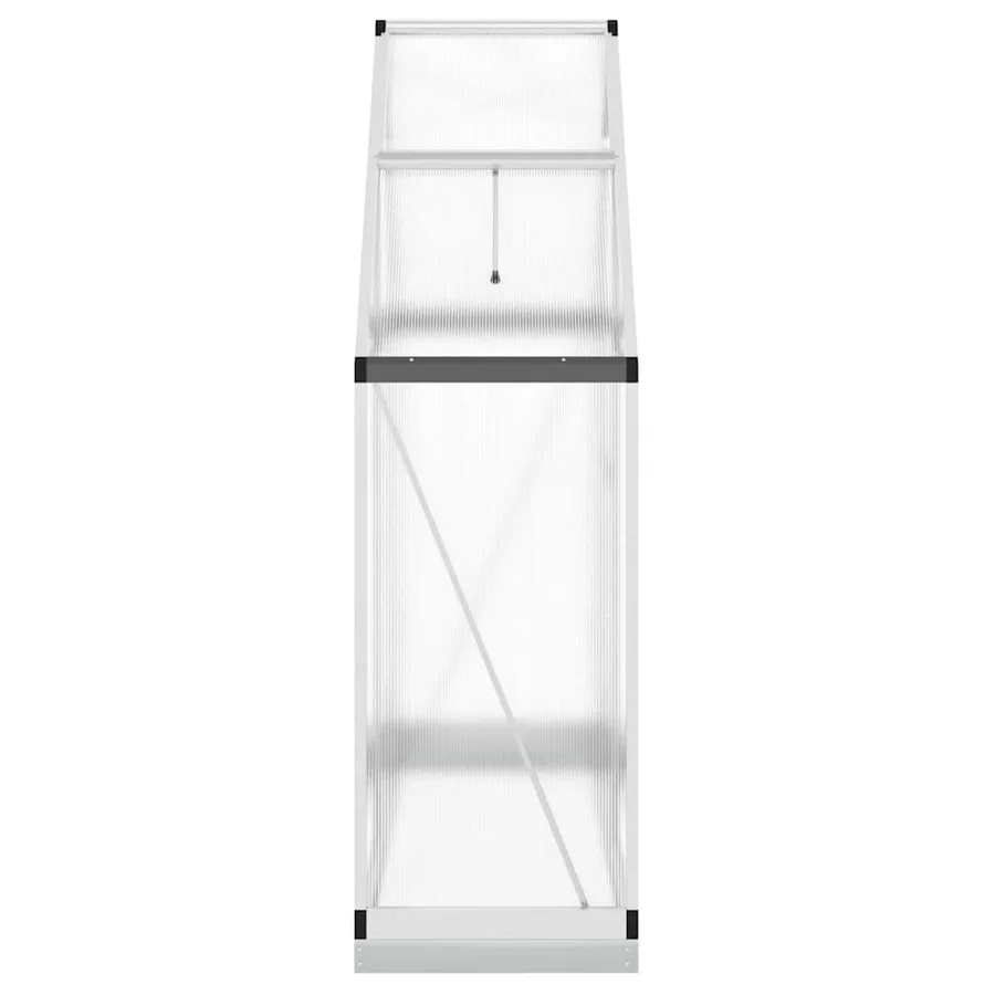 Serre avec cadre de base argenté 169x58x202 cm aluminium - 4