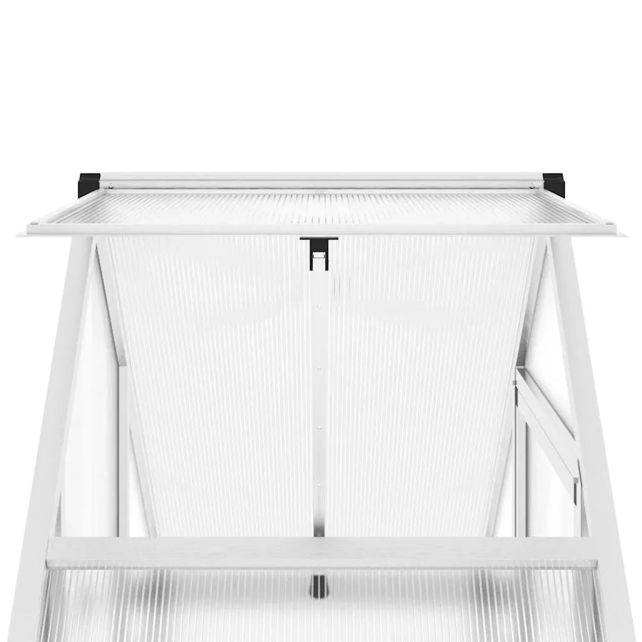 Serre avec cadre de base argenté 169x58x202 cm aluminium - 9