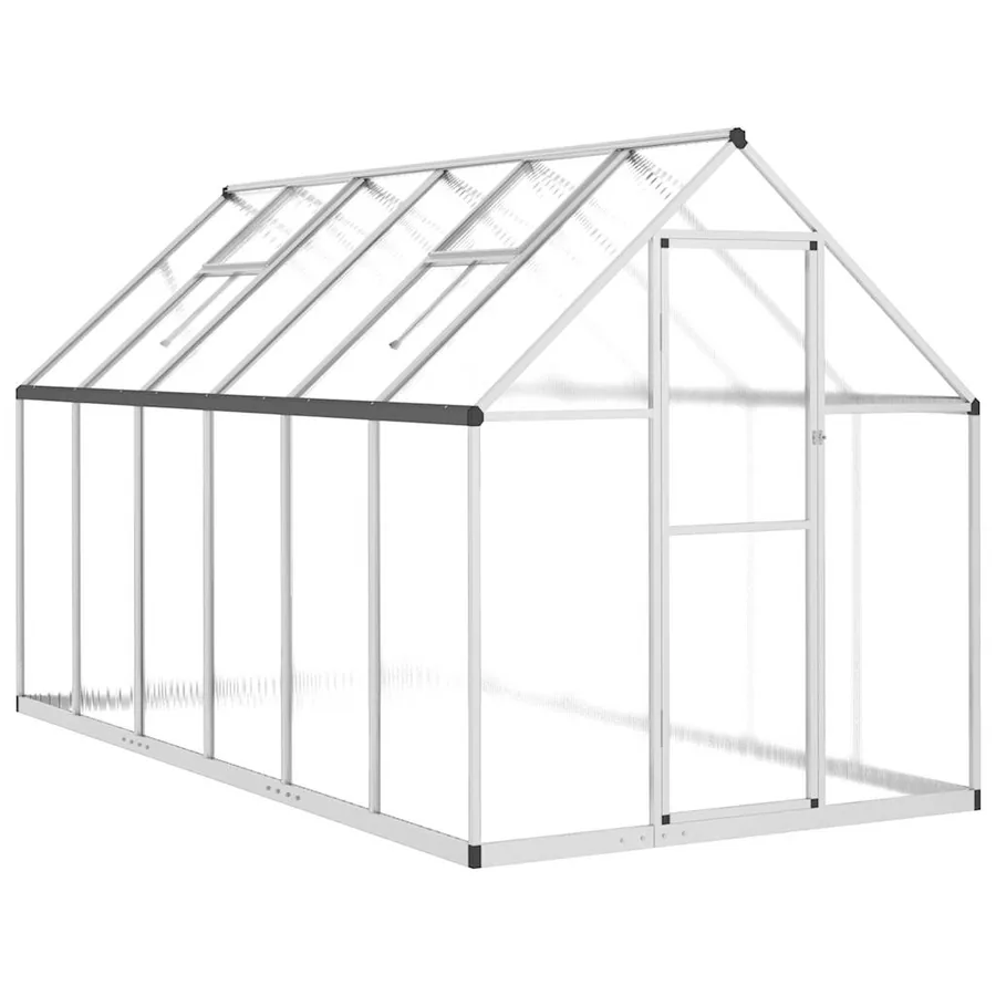 Serre avec cadre de base argenté 334x169x195 cm aluminium - 2