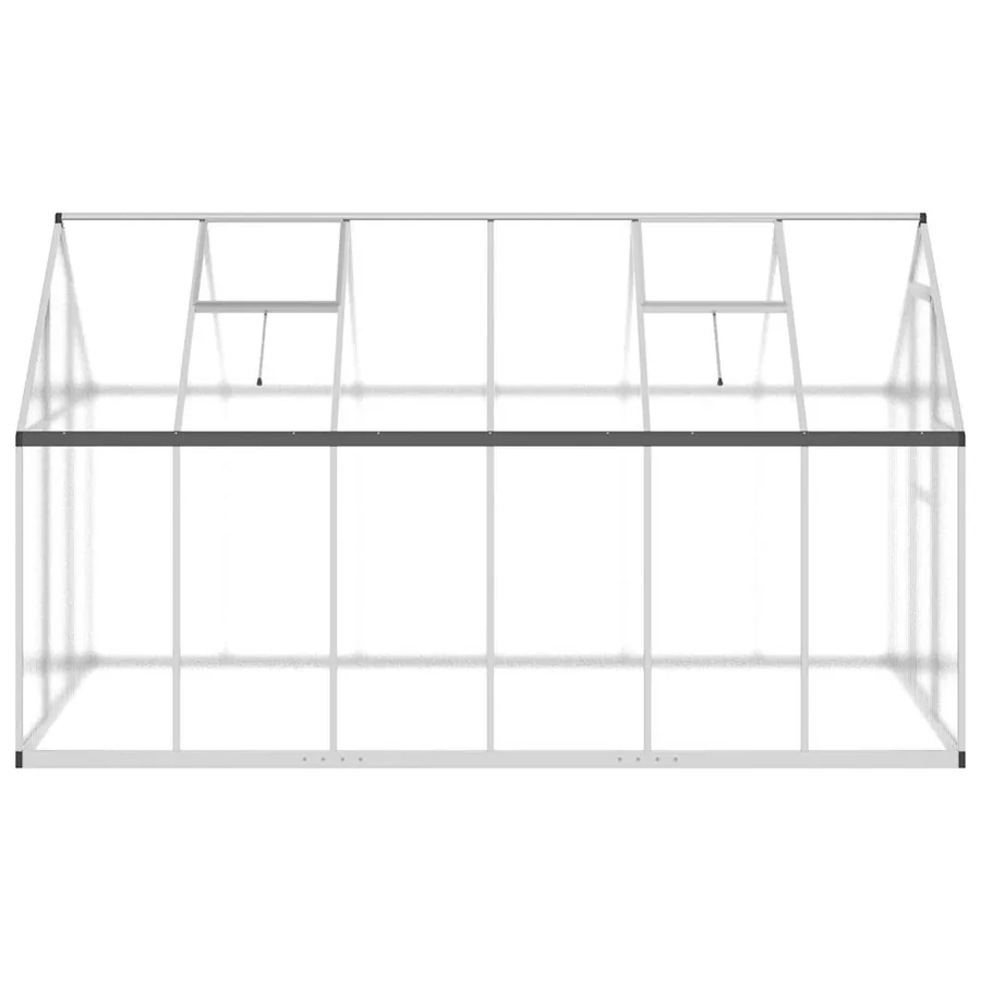 Serre avec cadre de base argenté 334x169x195 cm aluminium - 4