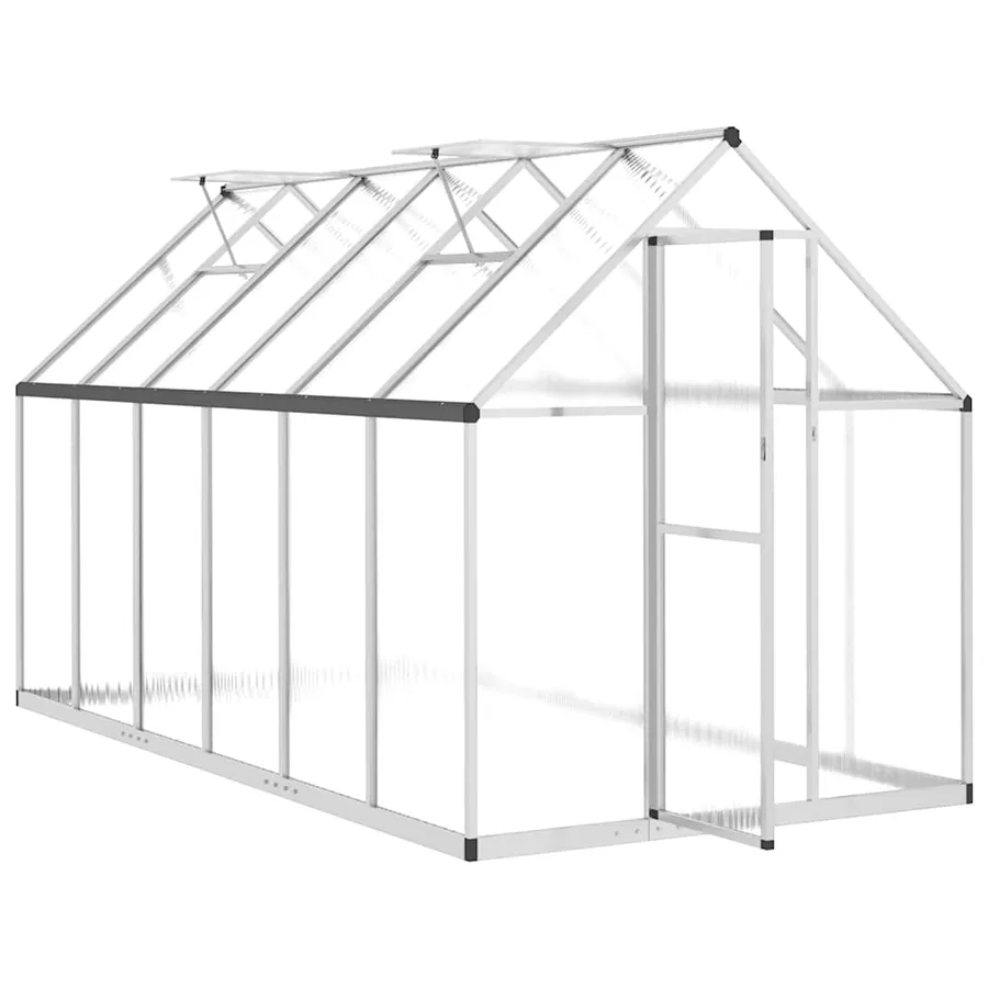 Serre avec cadre de base argenté 334x169x195 cm aluminium - 6