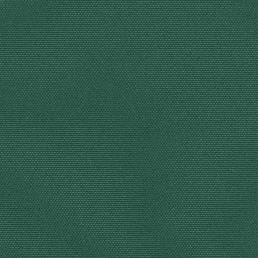 Auvent latéral rétractable vert foncé 200x300 cm - 9