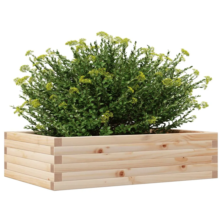 Jardinière 90x60x23 cm bois de pin massif - 4