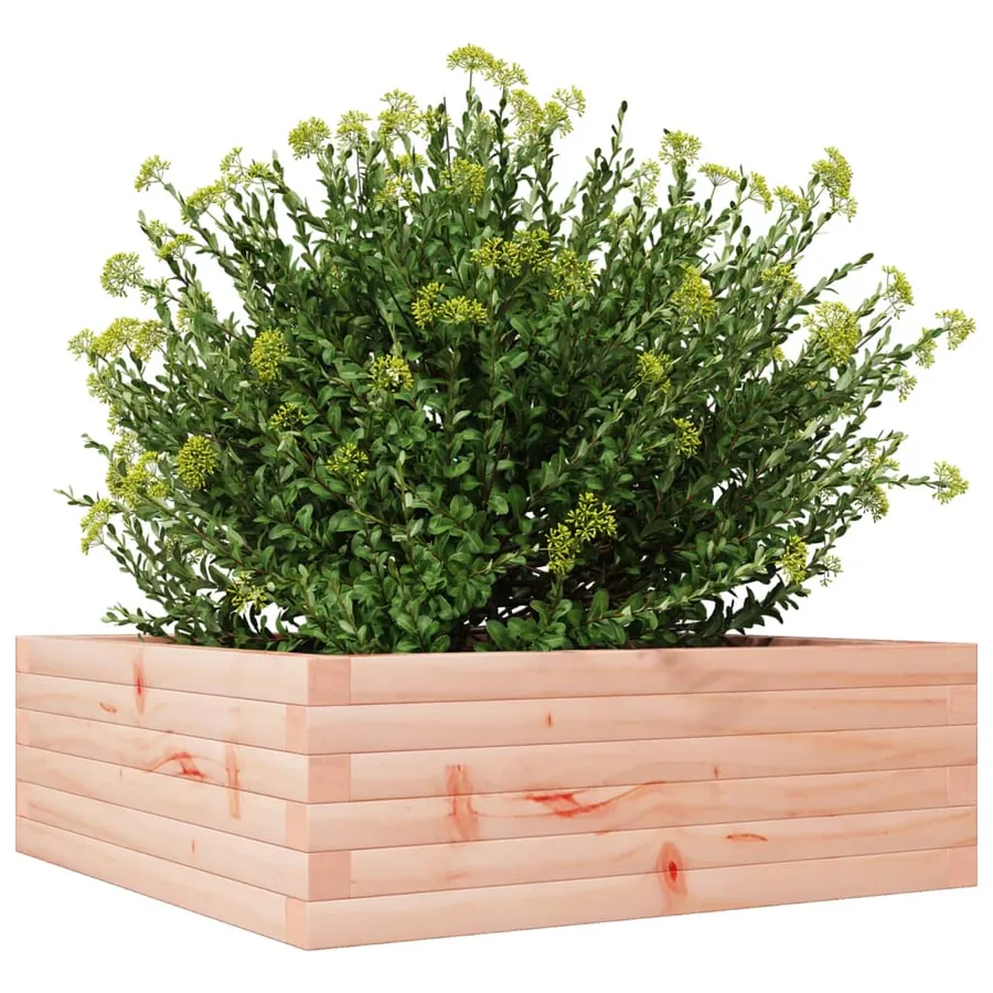 Jardinière 70x70x23 cm bois massif douglas - 4