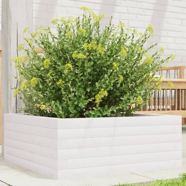 Jardinière blanc 60x60x23 cm bois de pin massif