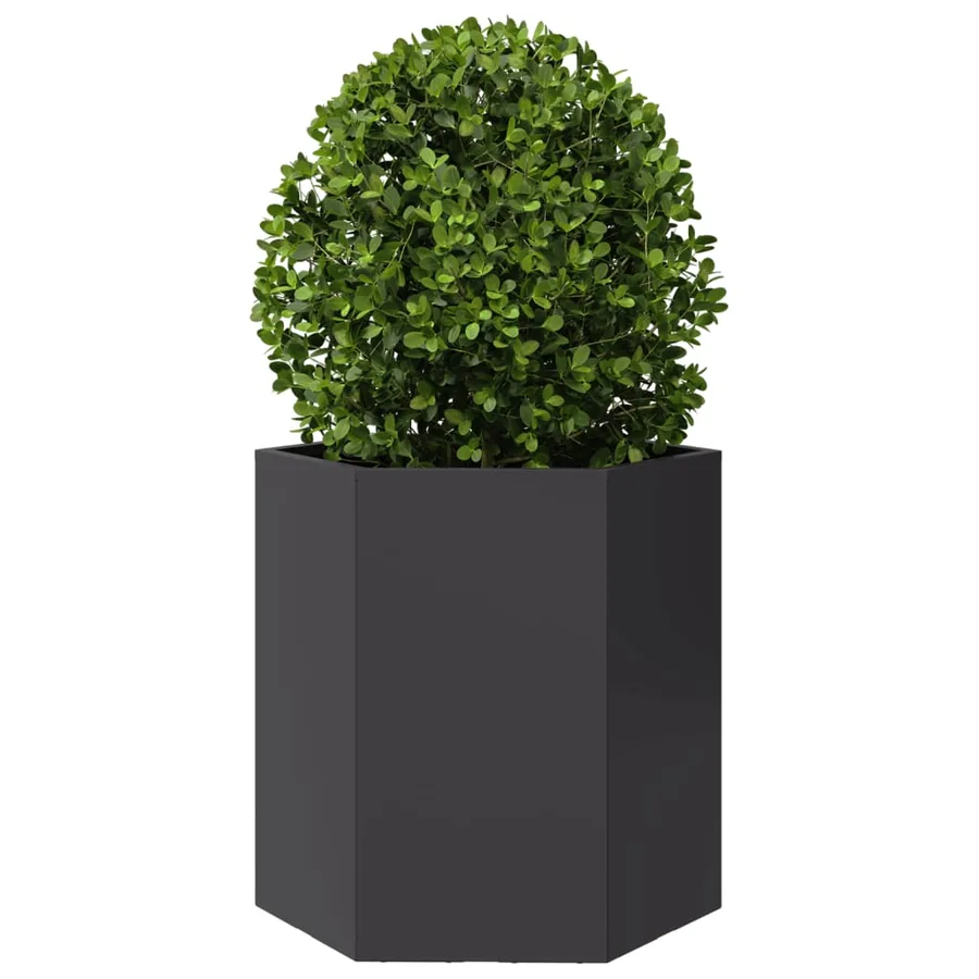 Jardinières 2 pcs noir hexagone 46x40x45 cm acier - 5