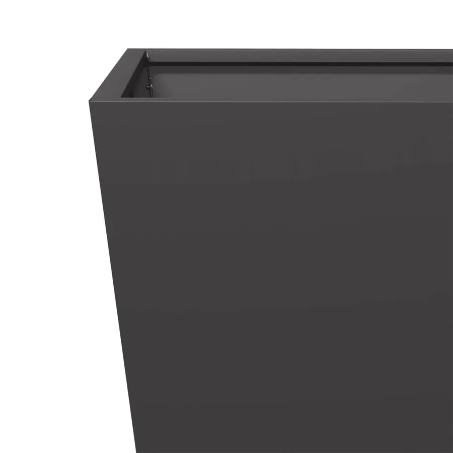 Jardinières 2 pcs noir 30x30x30 cm acier - 9