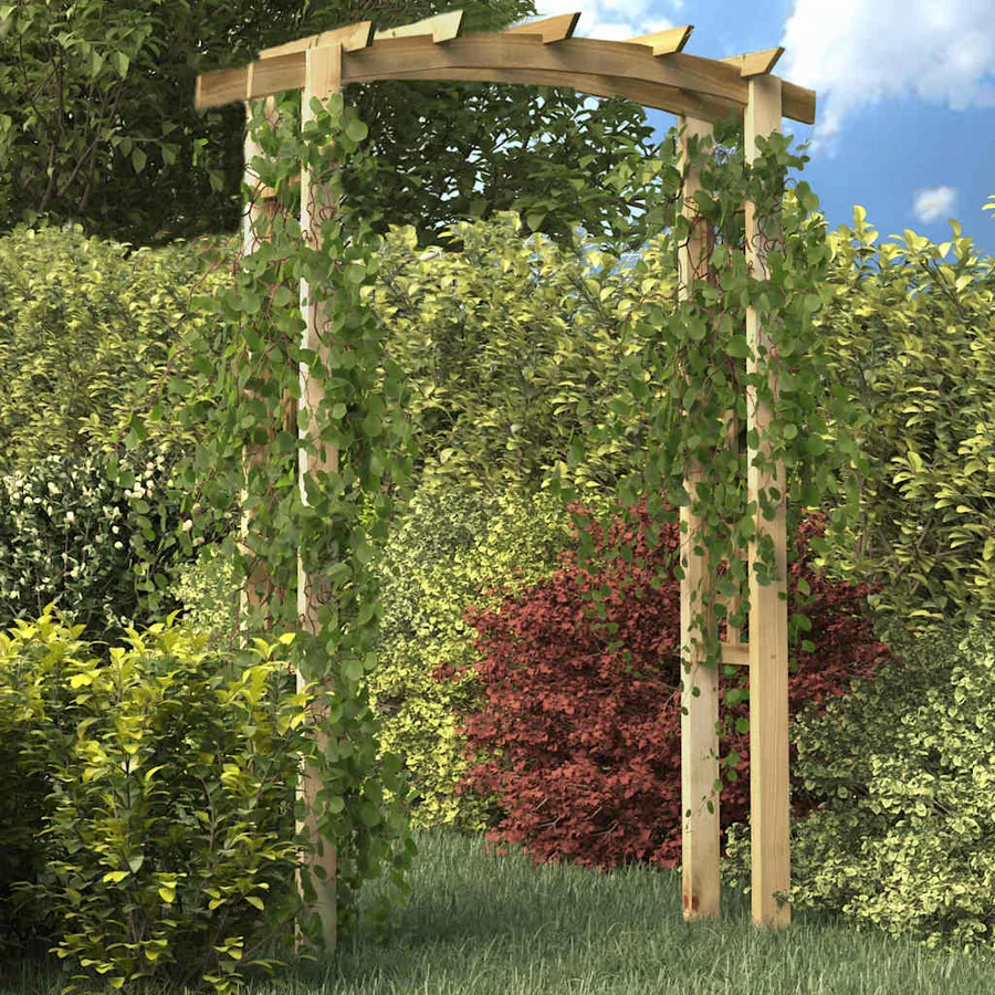 Trellis arch 150x60x210 cm Wood - 3