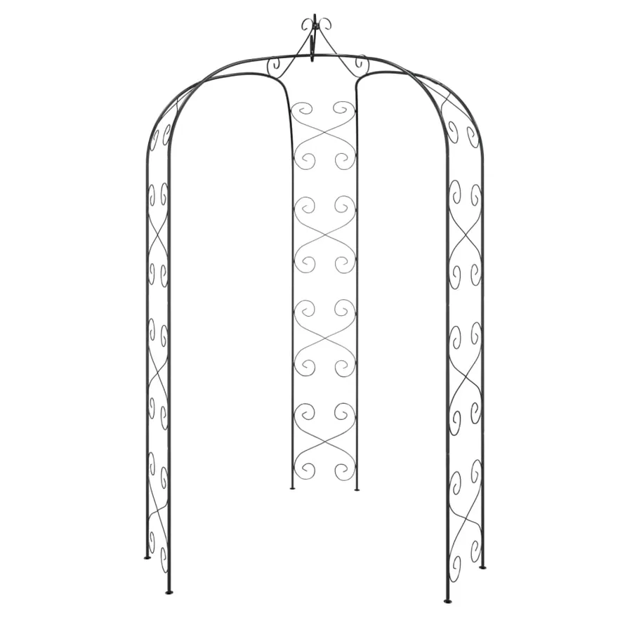 Arche de jardin Noir Ø180x255 cm Acier - 2