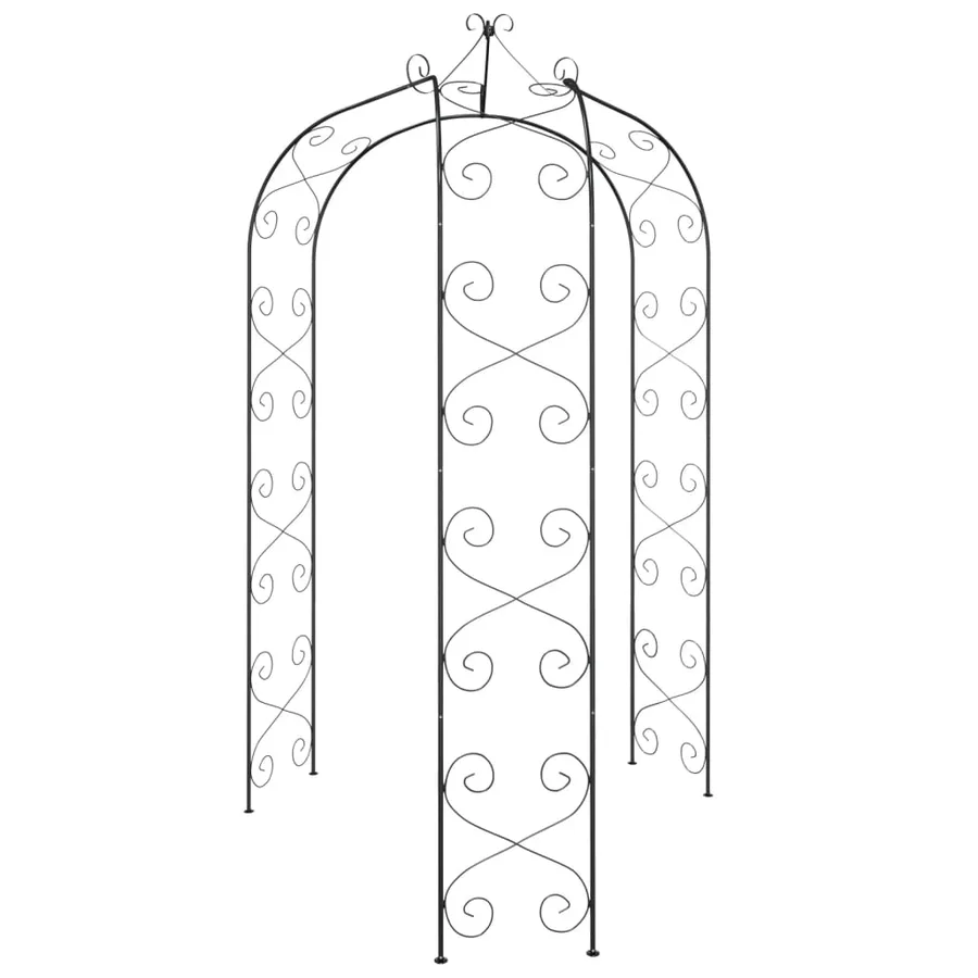 Arche de jardin Noir Ø180x255 cm Acier - 3