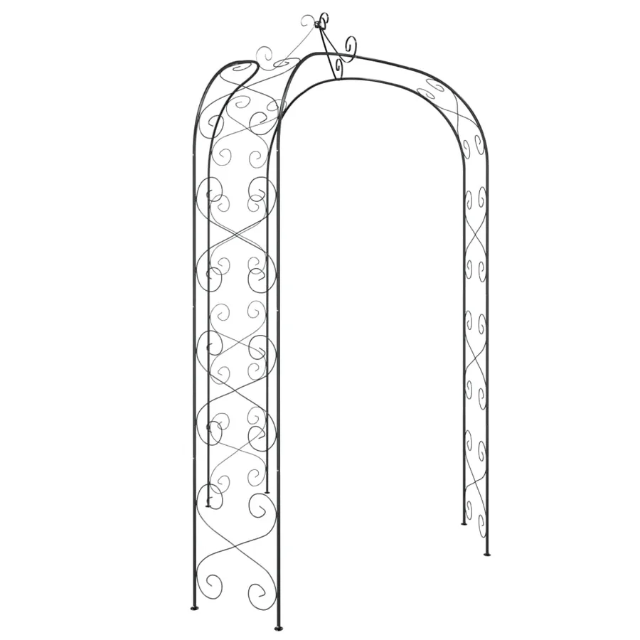 Arche de jardin Noir Ø180x255 cm Acier - 4
