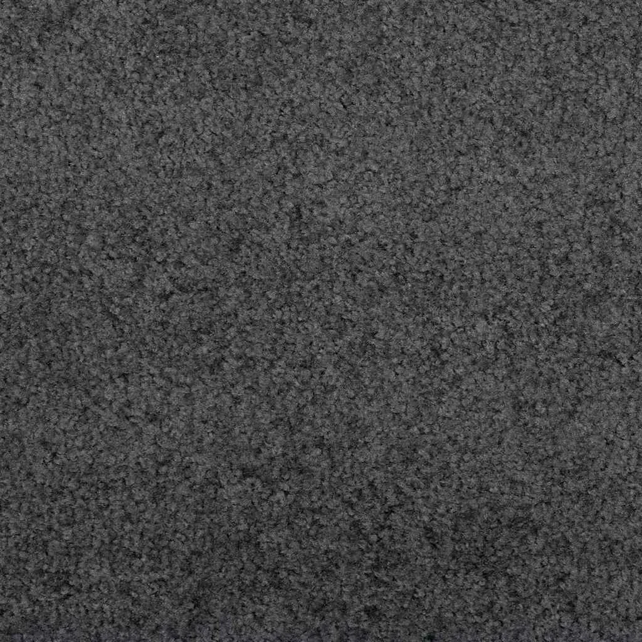 Tapis d'entrée Anthracite et noir 120 x 400 cm 100% Polyamide - 6