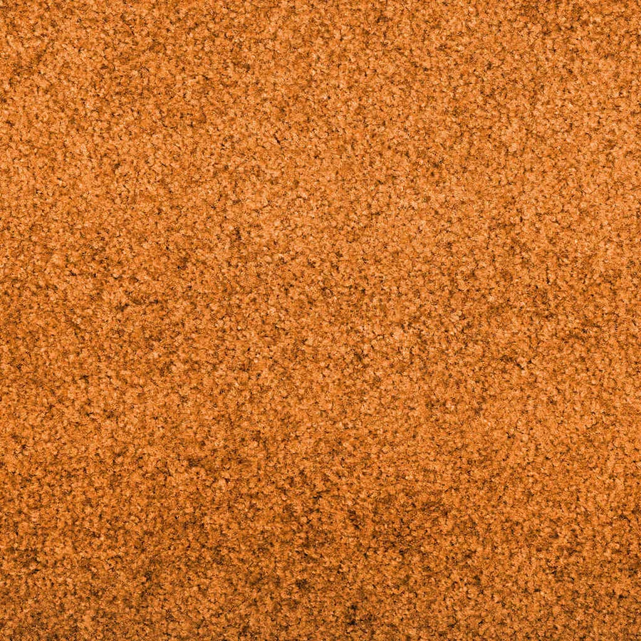 Tapis d'entrée Orange et Noir 120 x 250 cm Polyamide et PVC - 6