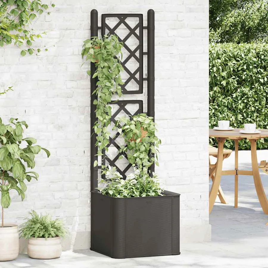 Lit surélevé de jardin treillis système d'arrosage Anthracite - 3