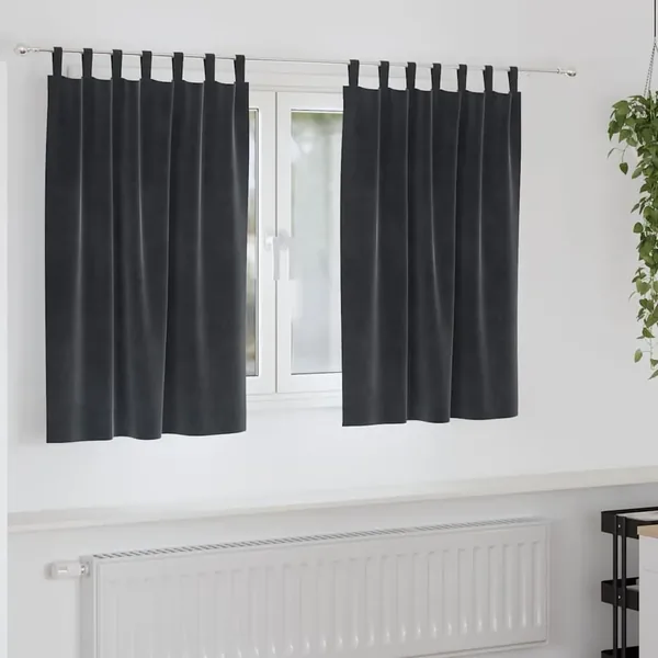 Rideaux occultants 2 pcs Gris foncé 140 x 140 cm Velours