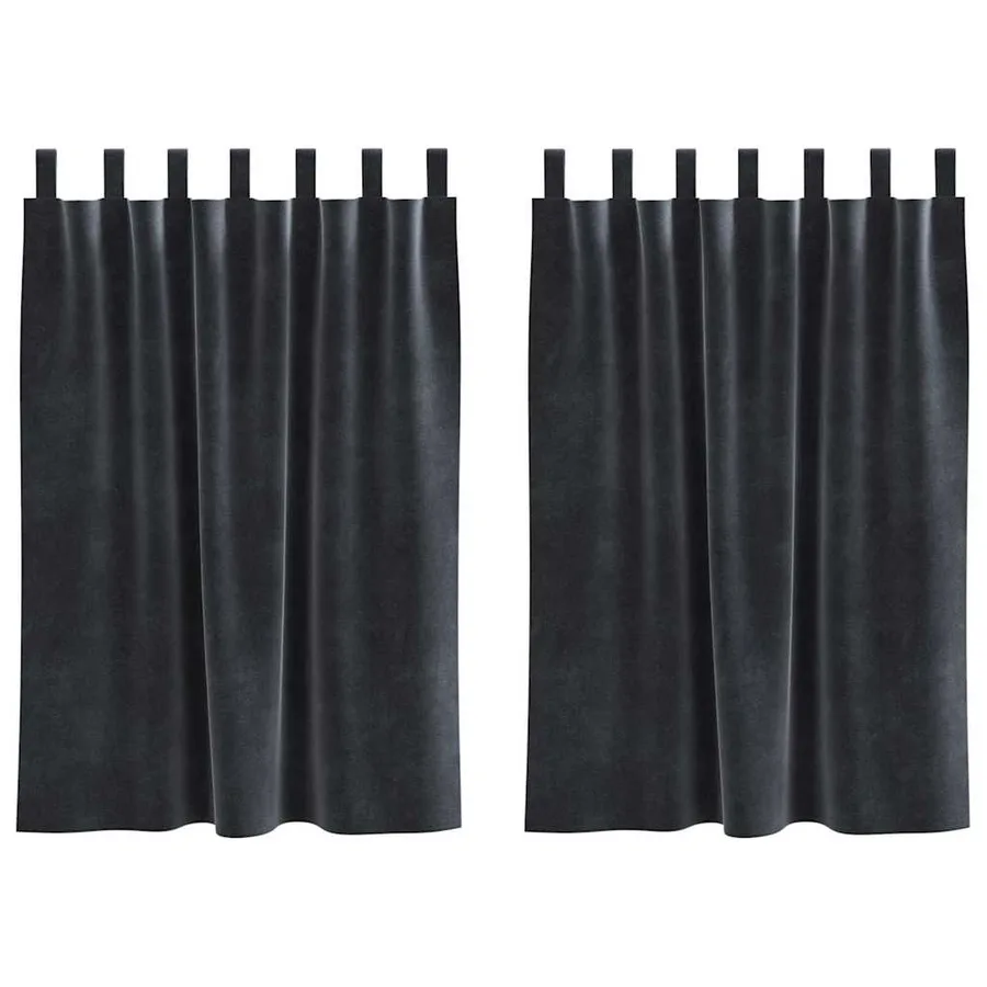 Rideaux occultants 2 pcs Gris foncé 140 x 140 cm Velours - 2