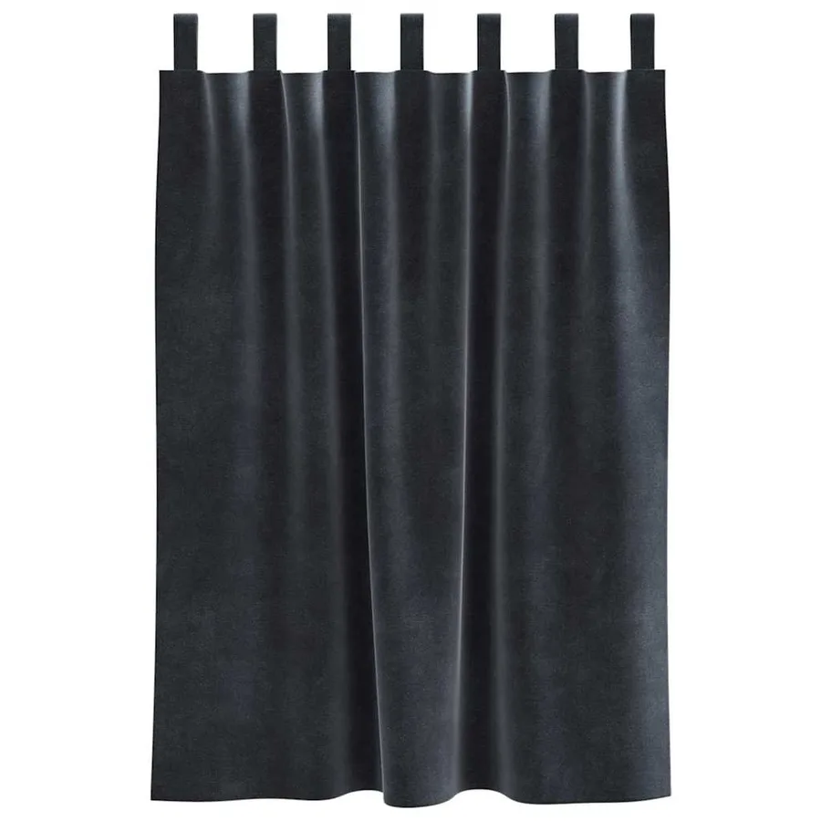 Rideaux occultants 2 pcs Gris foncé 140 x 140 cm Velours - 4
