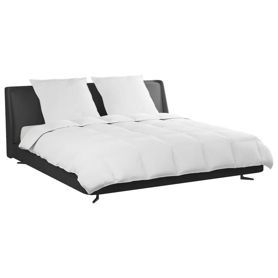 Ensemble de Duvet avec oreiller 3 pcs Blanc Plume de canard - 3