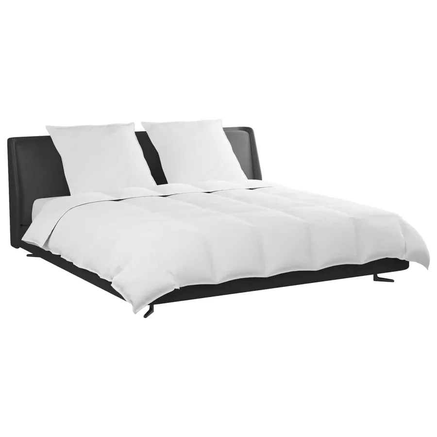 Ensemble de Duvet avec oreiller 3 pcs Blanc Plume de canard - 3