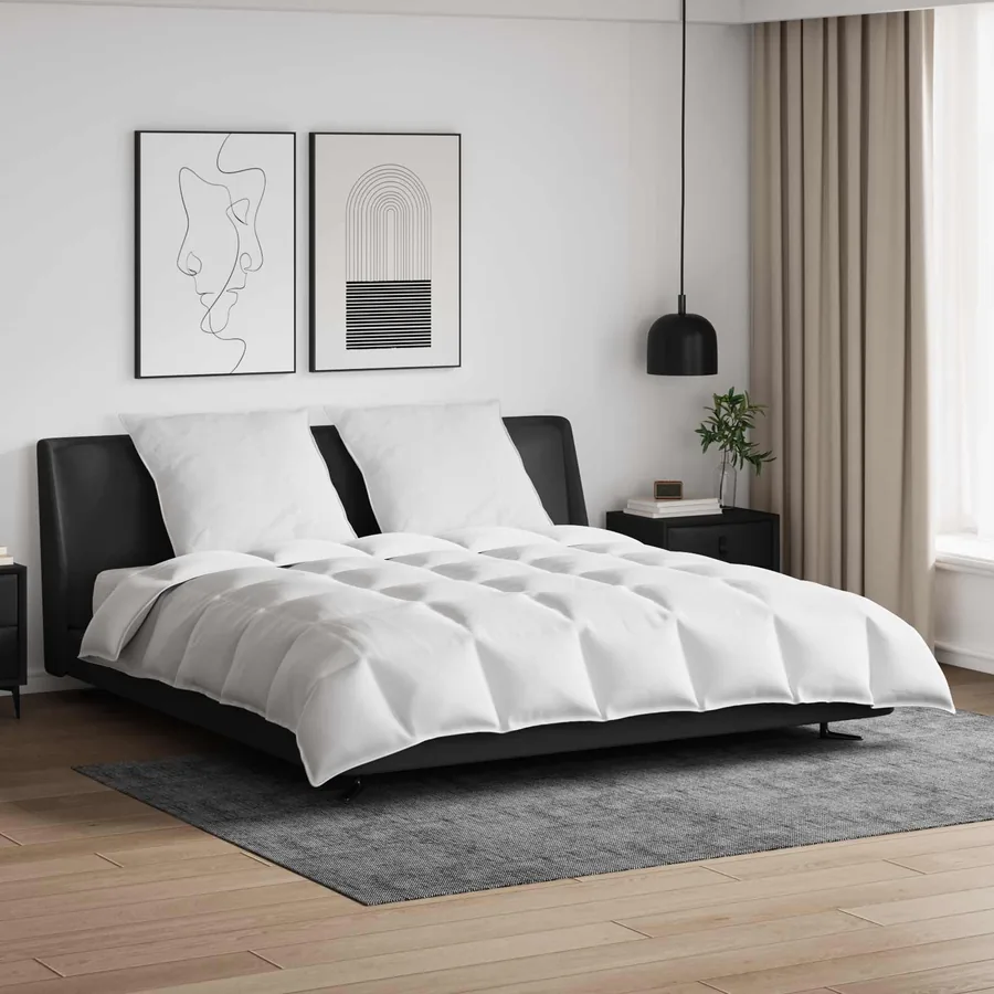 Ensemble de Duvet avec oreiller 3 pcs Blanc Plume de canard