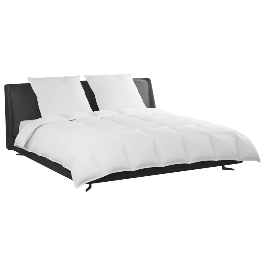 Ensemble de Duvet avec oreiller 3 pcs Blanc Plume de canard - 3