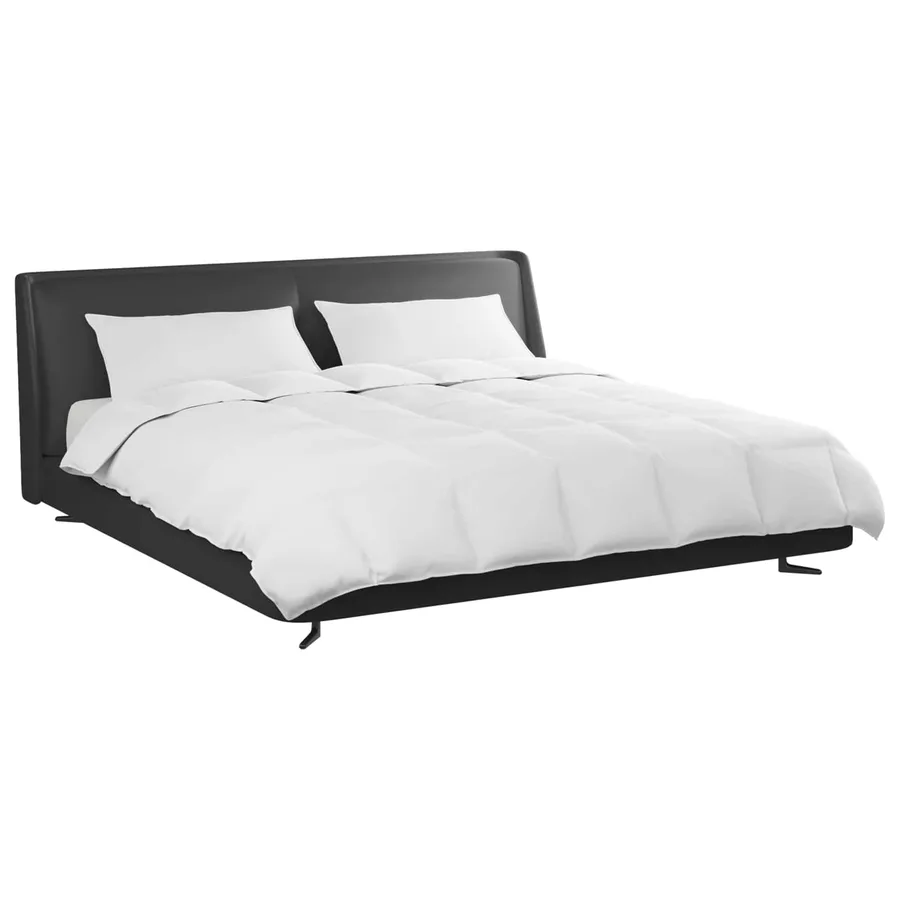 Ensemble de Duvet avec oreiller 3 pcs Blanc Plume de canard - 3