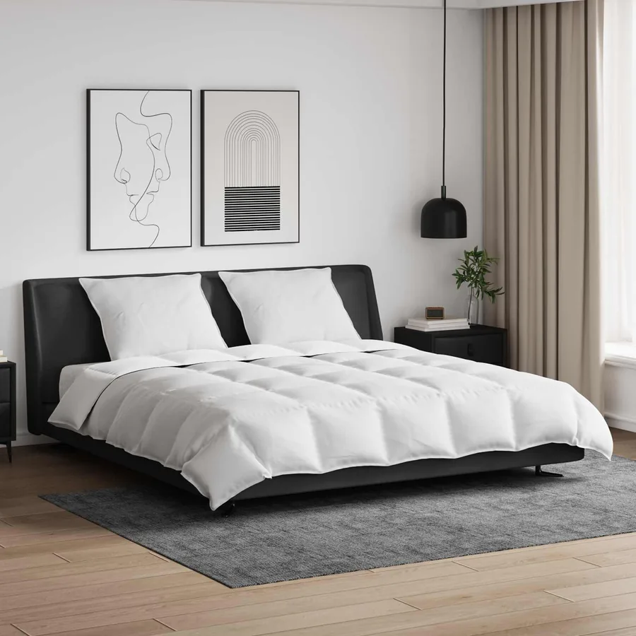 Ensemble de Duvet avec oreiller 3 pcs Blanc Plume de canard