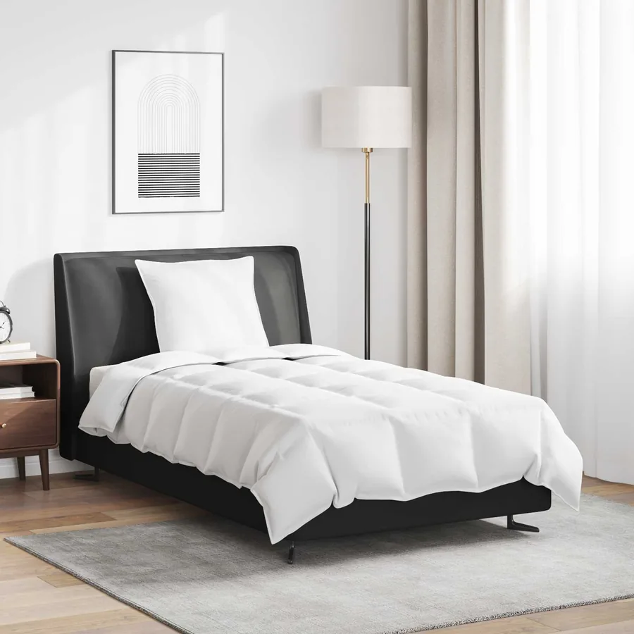 Duvet d'été simple avec oreiller 2 pcs Blanc Plume de canard