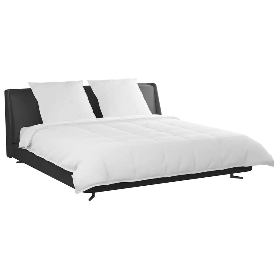 Ensemble de Duvet avec oreiller 3 pcs Blanc Plume de canard - 3