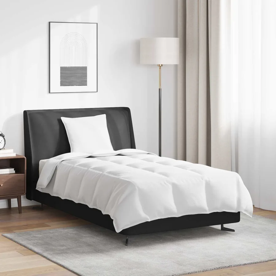 Duvet 2-en-1 avec oreiller 2 pcs Blanc Plume de canard