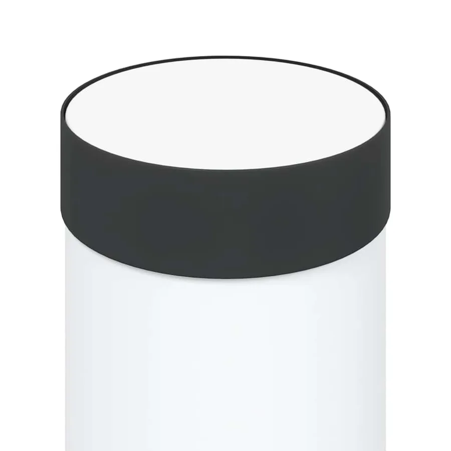 Borne lumineuse avec sortie 110 cm en acier inoxydable IP44 - 7