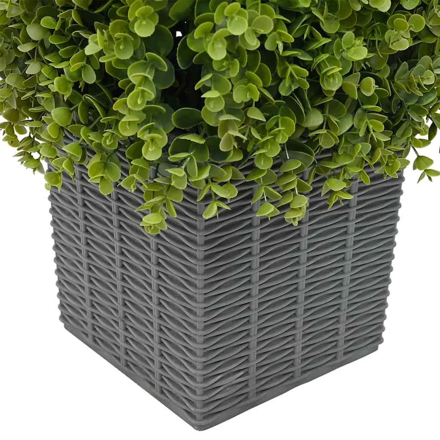 Tour en Herbe Eucalyptus Vert 27 x 27 x 90 cm Plastique - 5