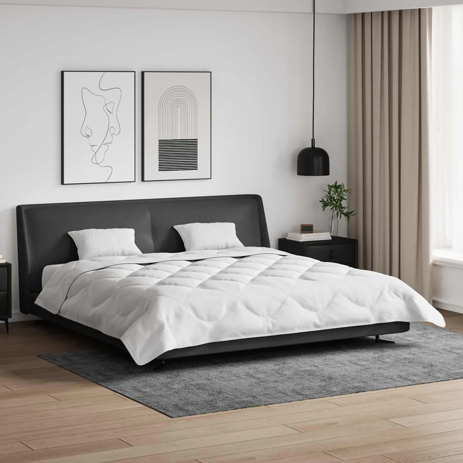 Duvet d'été simple avec oreiller 3 pcs Blanc Microfibre
