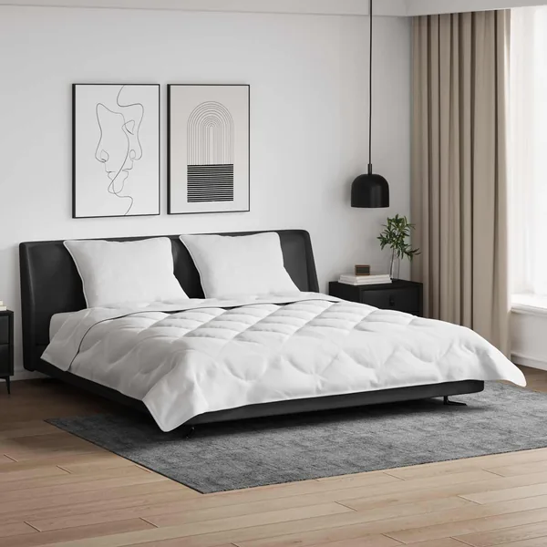 Duvet d'été simple avec oreiller 3 pcs Blanc Microfibre