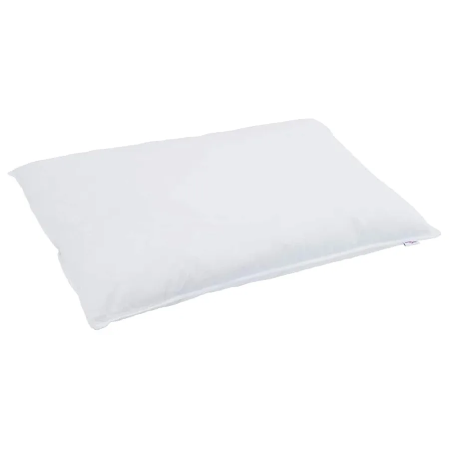 Oreiller avec oreiller Blanc 40 x 80 cm Plume - 3