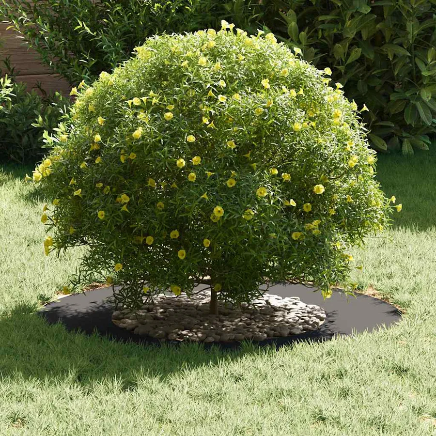 adapté pour anneau d'arbre plat Noir Ø40/70 cm Acier - 3