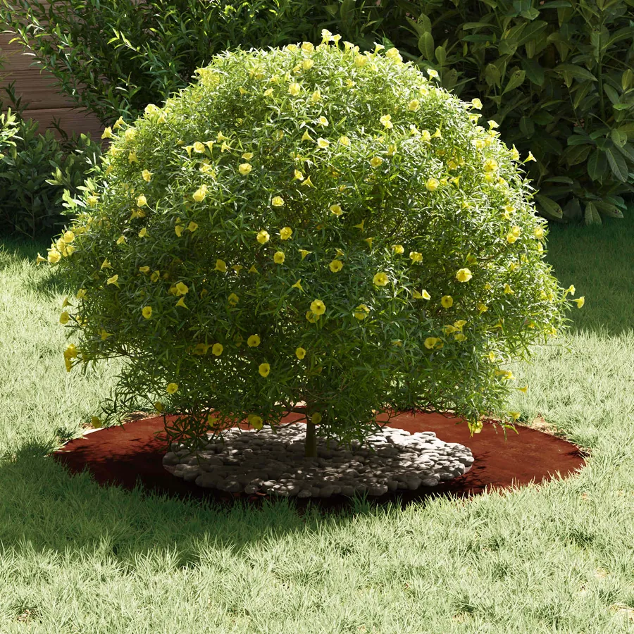 adapté pour anneau d'arbre plat Rouillé Ø40/70 cm - 3