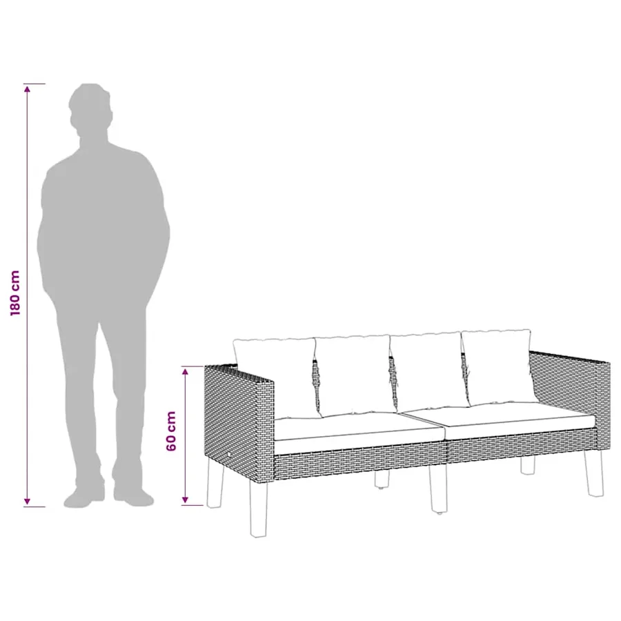 Canapé de jardin à 2 places avec coussins Résine tressée Beige - 10