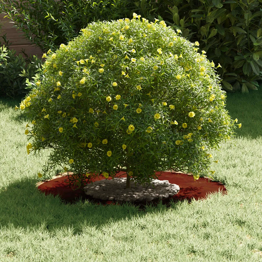 adapté pour anneau d'arbre plat Rouillé Ø30/60 cm - 3